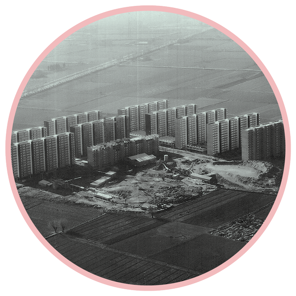 Els blocs del nou barri de Bellvitge en construcció als anys 60. Foto: Hospital Universitari de Bellvitge